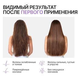 Шампунь для волос с маслом лаванды и экстрактом мелиссы, густые и сильные, 300 мл, ECO LAB by URAL LAB