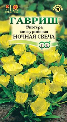 Энотера Ночная свеча миссурийская 0,2г (г)