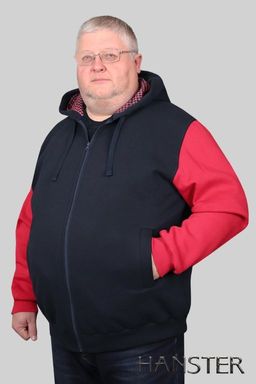 Толстовка Т-18 футер 3х нитка