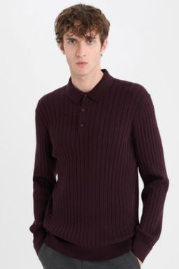 Standart Fit Polo Yaka Triko Kazak
