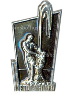 Значок Петродворец