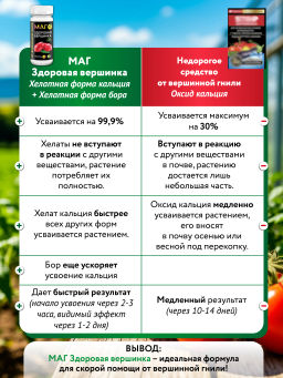 БИО-комплекс Здоровая вершинка, ТМ МАГ, 75 г