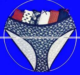 Цена за 7 шт. Трусы женские DOMINANT Турция большие размеры высокая посадка Неделька - 7 шт. арт. 57000-208 XL (48)