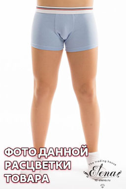 Боксеры. - Елена фото 7