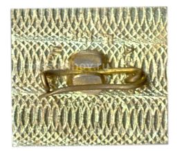 Значок Капчагай