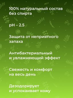 Дезодорант Хвойный - Siberina фото 7