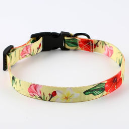 Набор Цветы, застёжка - фастекс, поводок 2 м и ошейник 28-46 см - Пушистое счастье фото 6