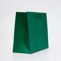 Цена за 2 шт. Пакет подарочный ламинированный горизонтальный «Изумрудный», ML 27×23×11.5 см