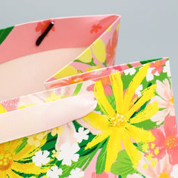 Пакет подарочный с широким дном, упаковка, «Special for you», 25×19×18 см