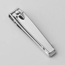 Цена за 12 шт. Кусачки книпсер маникюрные, с пилкой, 5.5 см, в коробке