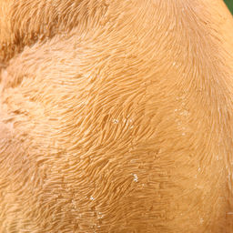 Фигурка полистоун TAKE IT EASY Зайчиха с зайчонком, 13?12?25 см