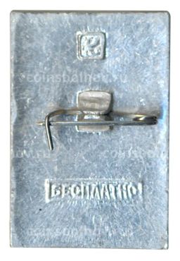 Значок Общество охраны памятников истории и культуры РСФСР