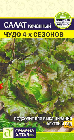 Салат кочанный Чудо 4-х сезонов 0,5г (Семена Алтая)
