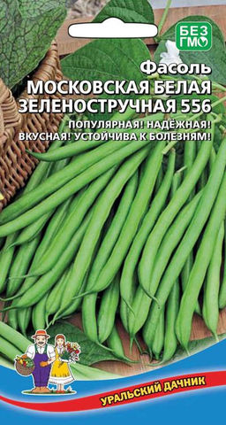 Фасоль МОСКОВСКАЯ БЕЛАЯ ЗЕЛЁНОСТРУЧКОВАЯ 556