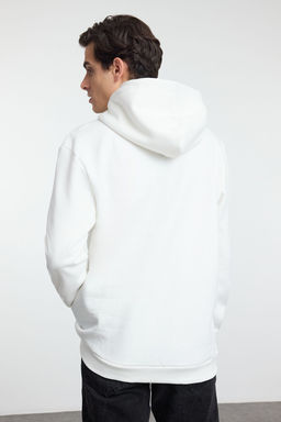 TRENDYOL MAN Un?sex Ekru Regular/Normal Kesim Hokusai Orijinal Lisansl? Kapusonlu Sweatshirt TMNAW25SW00127 - Trendyolmilla фото 5