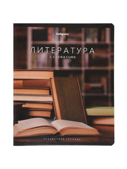 Тетради предметные 12 шт. 48 листов, справочная информация, 60 г, Моменты