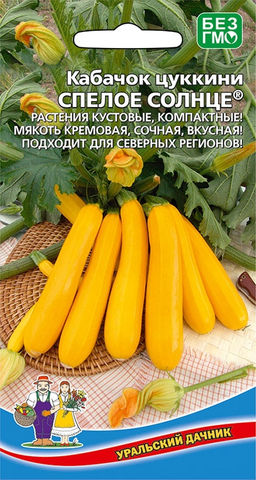 Кабачок СПЕЛОЕ СОЛНЦЕ®  Кустовой, компактный! Мякоть кремовая, сочная, вкусная! Подходит для северных регионов!