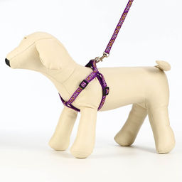 Комплект Звёздные косточки, поводок 120 х 1 см, ОГ 23-35 см, фиолетовый - Пижон фото 3