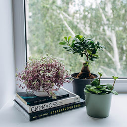 Цена за 3 шт. Кашпо для цветов, d=12.5 см, 1 л, пластик, зелёное, шалфей