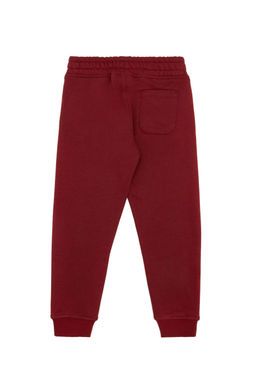 Детские спортивные штаны вишневого цвета - U.s. polo assn фото 7