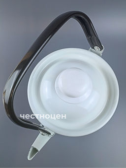 Чайник для плиты 2,5л 01-2711/4-Клубника-Д