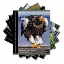 Цена за 5 шт. Тетрадь общая ученическая ErichKrause Энциклопедия, Красная книга России. Птицы, 48 листов, клетка, глянцевая ламинация_MIX-PACK  фото 2