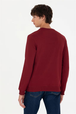 U. S. Polo Assn / Мужской бордово-красный базовый свитшот - U.s. polo assn фото 5