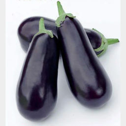 Баклажан Рома F1