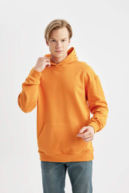 Базовая толстовка Comfort Fit с капюшоном - Defacto фото 4