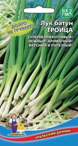 Лук батун ТРОИЦА  Долго не грубеет! Ароматный! Вкусный и полезный!