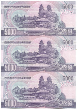 5000 вон 2006 года Северная Корея  Лист из трех банкнот