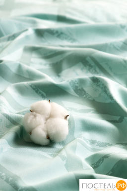 КПБ Estia ТРОПИКАНА  фото 18