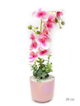 Цветочная композиция Орхидея 38 см / 0213-152 /уп 24/ - Галеонтрейд фото 3