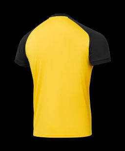 Футболка игровая JOGEL CAMP Reglan Jersey, желтый  фото 3
