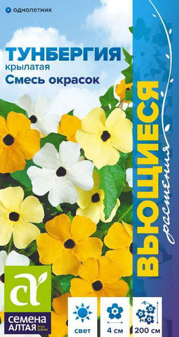 Цветы Тунбергия Смесь окрасок крылатая/Сем Алт/цп 0,2 гр. Вьющиеся растения (2028 / 3256)