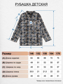 Рубашка 6510 т.синяя клетка 950 Be Friends  фото 2