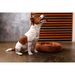 Лежанка с косточкой, 45х35х11 см, коричневая - Пушистое счастье фото 3