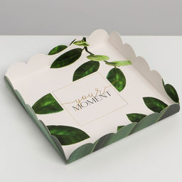 Цена за 5 шт. Коробка для печенья, кондитерская упаковка с пластиковой крышкой, «Эко», 18×18×3 см