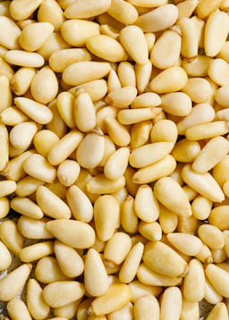 Ядро кедрового ореха, 500 г | Дальний Восток - Сибирский кедр фото 8