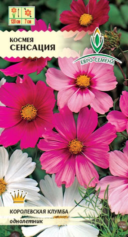 Космея Сенсация смесь 0,3г (НК)