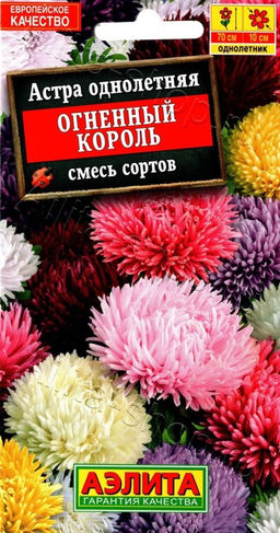 Астра Огненный король, смесь 0,2г (Аэлита)