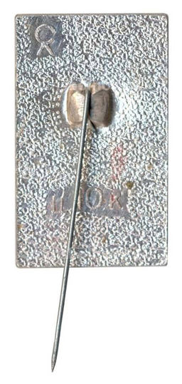 Значок Павловск