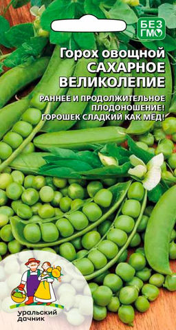 Горох САХАРНОЕ ВЕЛИКОЛЕПИЕ  Название говорит само за себя! Стручки без жесткой ткани!