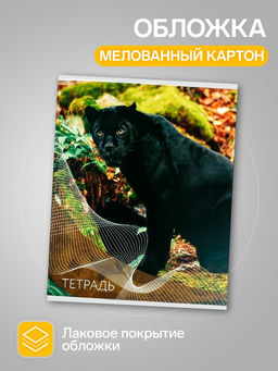 Набор тетрадей, 96 листов в линейку, Calligrata «Дикие кошки», серые листы, 4 штуки