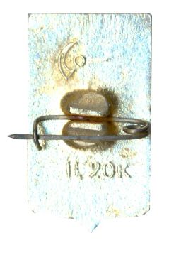 Значок Пошехонье