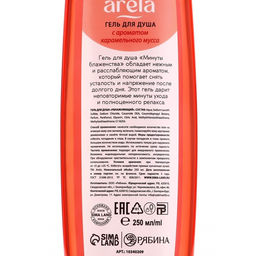 Цена за 3 шт. Гель для душа женский «Минуты блаженства», 250 мл, аромат карамельного мусса, ARELA