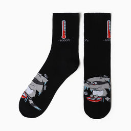 Носки мужские KAFTAN «Енот», размер 41-44 (27-29 см)