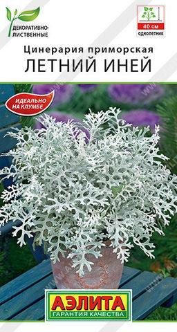 1875A Цинерария Летний иней 0,05гр