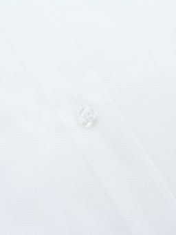 Сорочка мужская длинный рукав GREG 100/237/WH/ZVN STRETCH