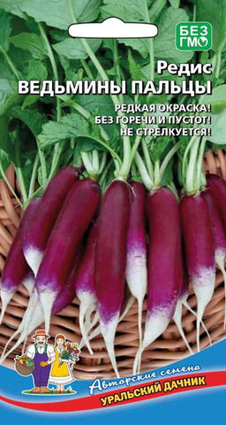 Редис ВЕДЬМИНЫ ПАЛЬЦЫ  Редкая окраска! Без горечи и пустот! Не стрелкуется!